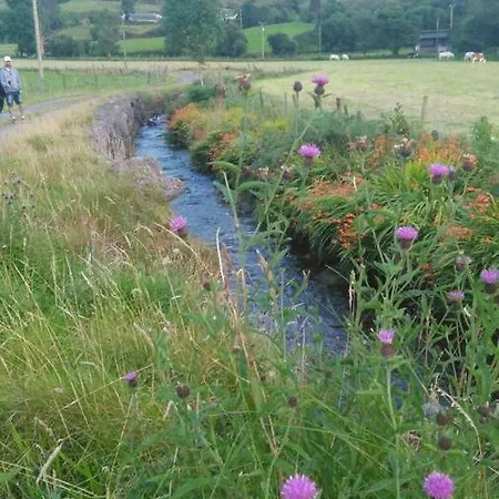 Apartmán Tranquil Near Kenmare