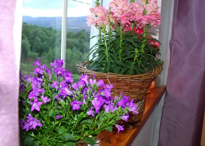 Lejlighed Tranquil Near Kenmare Lamanagh