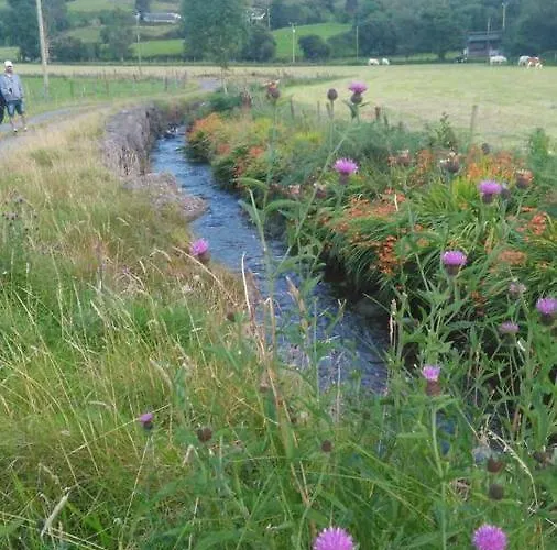 Lejlighed Tranquil Near Kenmare