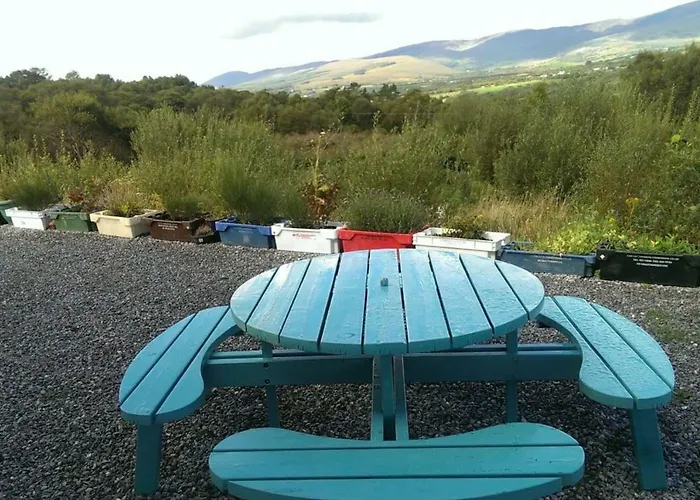 Tranquil Near Kenmare *