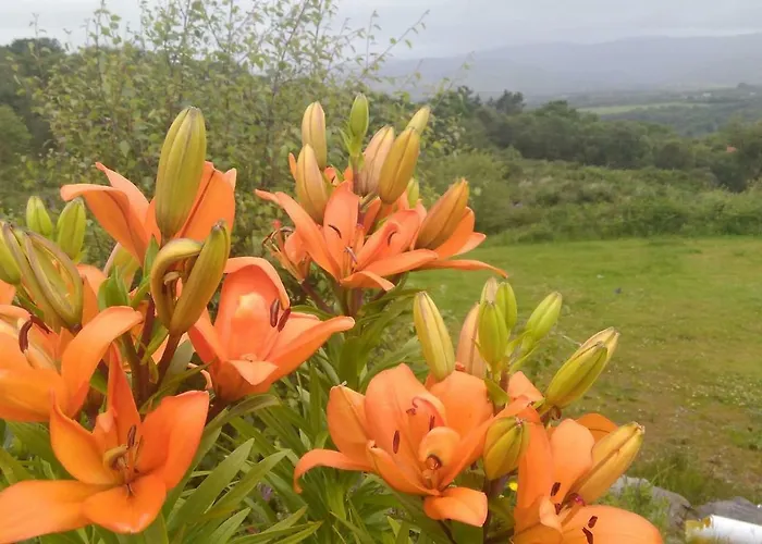 Lejlighed Tranquil Near Kenmare Lamanagh