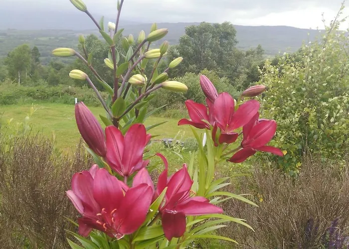 Tranquil Near Kenmare Lejlighed Lamanagh