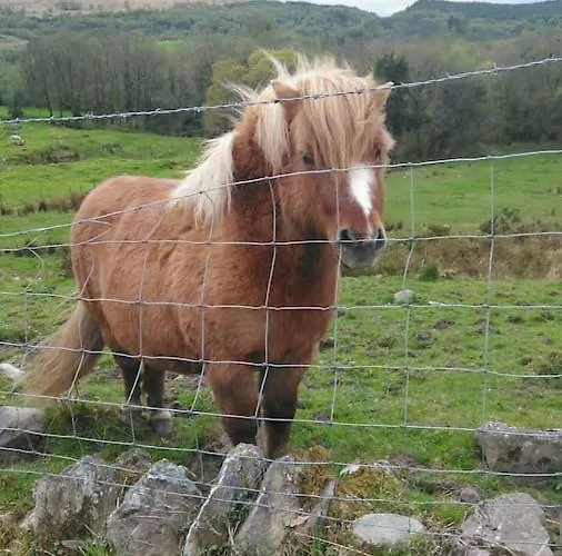 Tranquil Near Kenmare * Lamanagh
