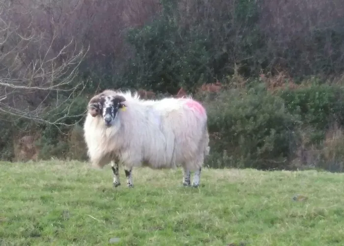 Tranquil Near Kenmare Apartman Lamanagh